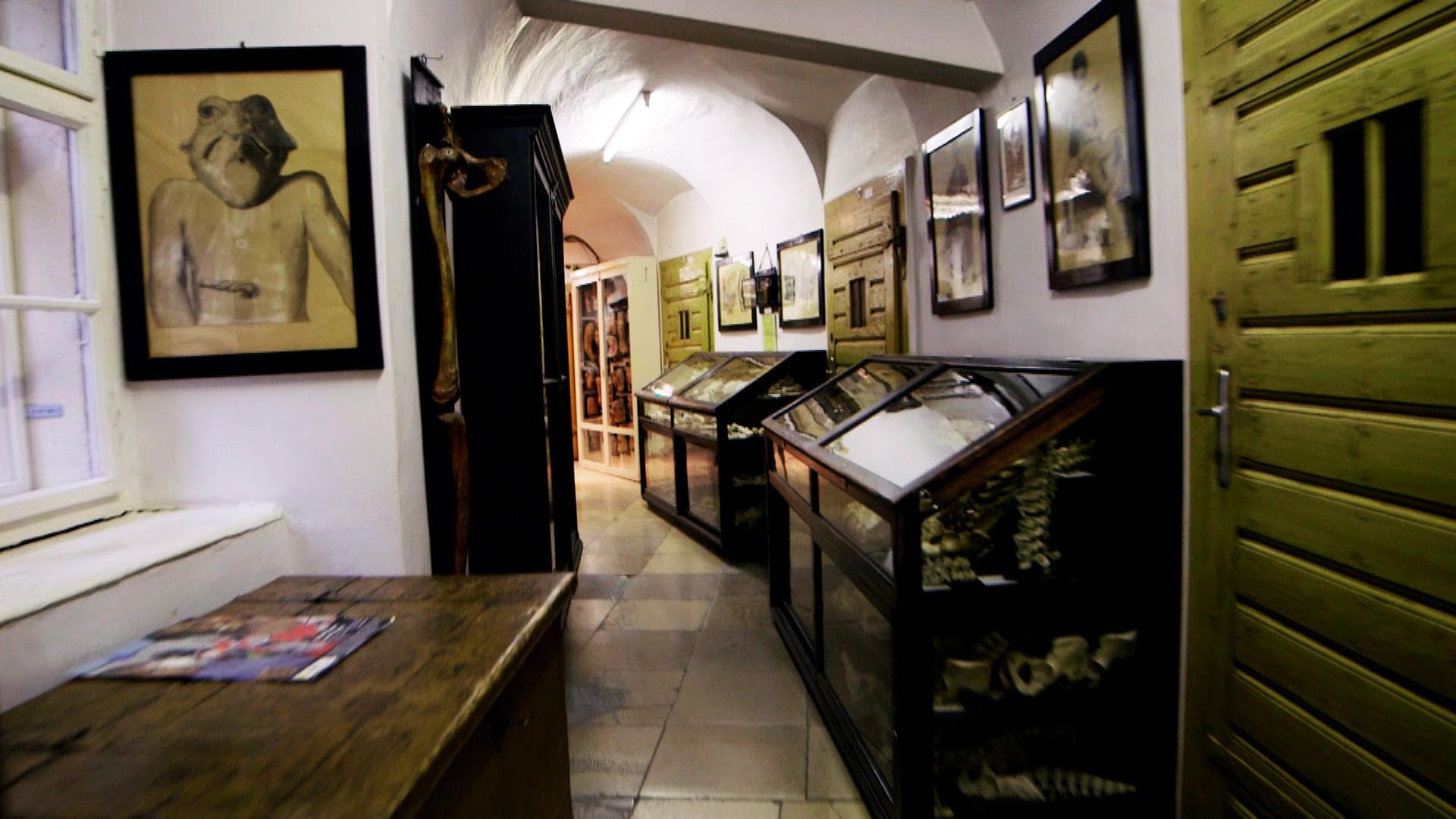 Den Fragen nach dem Lebensganzen begegnet man, wenn man durch diese Sammlung kreist.