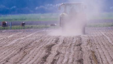 Ein Traktor fährt über einen Acker und wirbelt eine Staubwolke auf.