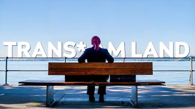 Eine Person mit pinkem Haar sitzt mit dem Rücken zur Kamera auf einer Bank am Seeufer. Über dem See ist der Schriftzug TRANS* AM LAND in großen weißen Buchstaben eingeblendet.