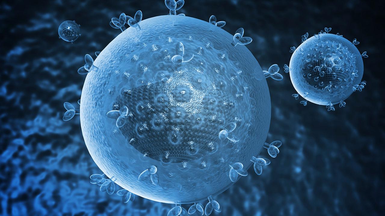 Standbild: Transplantat gegen HIV