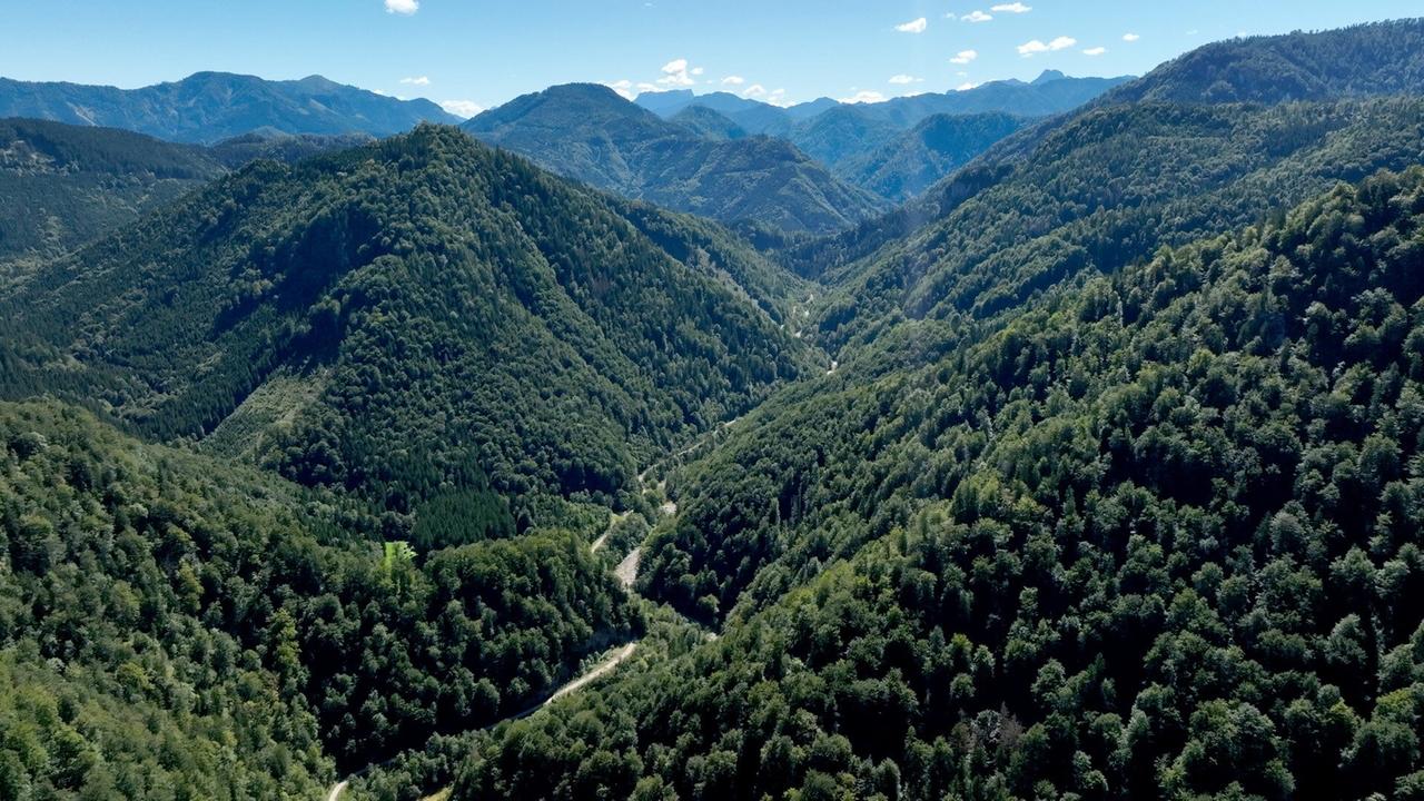Das Bild zeigt eine weitläufige Landschaft im Nationalpark Hintergebirge. Im Vordergrund sind sanfte Hügel und dichte Wälder sichtbar, die durch verschiedene Grüntöne charakterisiert sind. Die Bäume scheinen überwiegend Laubbäume zu sein und erstrecken sich über die sanften Erhebungen. Im Hintergrund erheben sich majestätische Berge, deren Gipfel teilweise von Wolken umgeben sind. Ein Fluss schlängelt sich durch das Tal, dessen Verlauf zwischen den Bäumen und Hügeln sichtbar ist. Der Himmel ist klar und blau mit einigen kleinen, weißen Wolken. Die gesamte Szene strahlt eine unberührte, natürliche Schönheit aus, die die Verbindung von Natur und Kultur in dieser Region widerspiegelt.