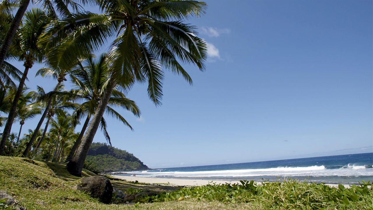 Standbild: Traumgärten auf La Réunion - Folge 2