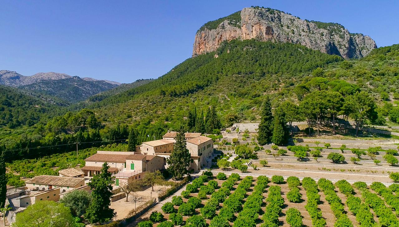 eindrucksvolle zitrusplantagen