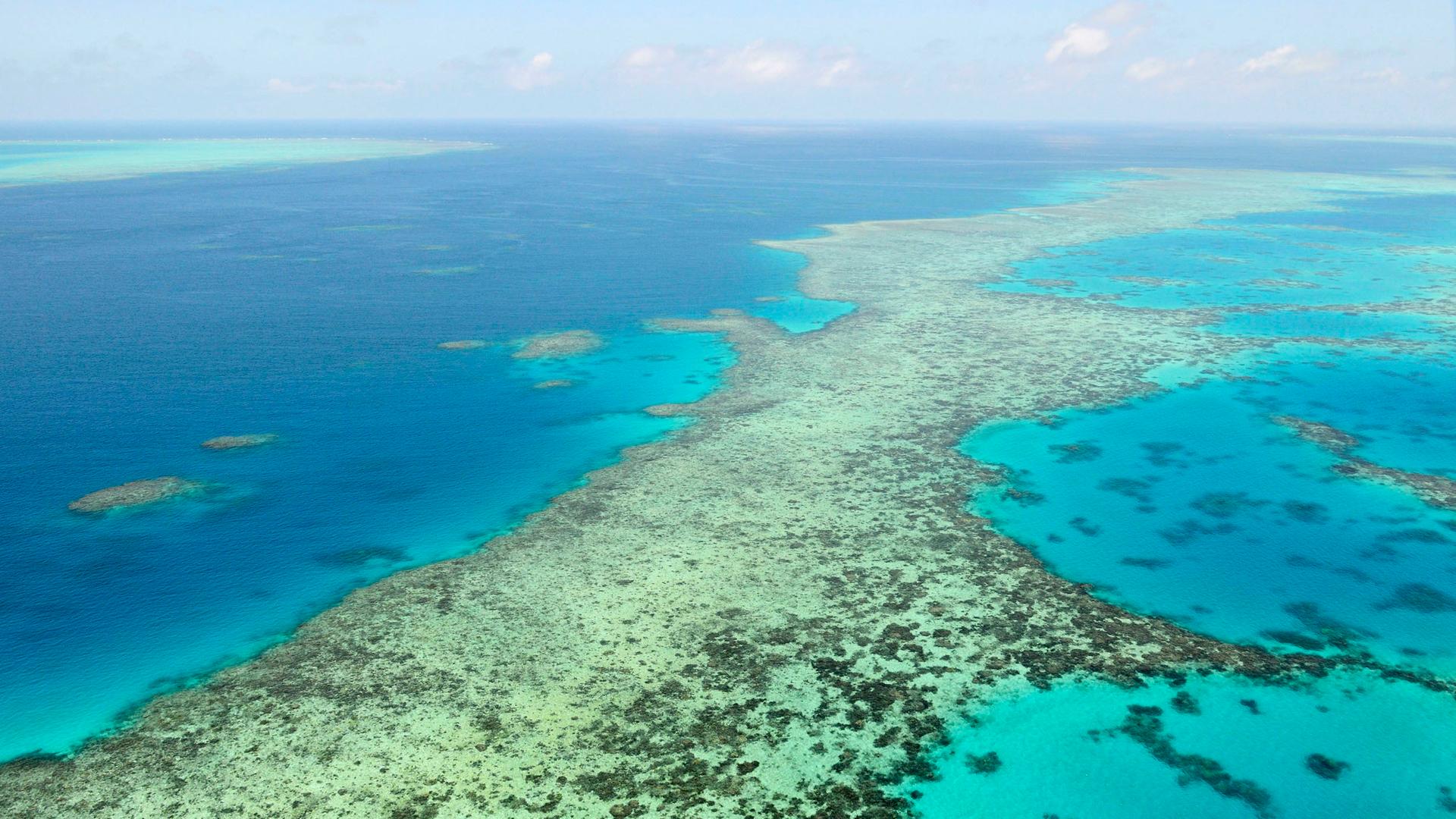 Blick auf das Great Barrier Reef in Australien. Zu sehen ist türkisfarbenes, kristallklares Wasser und kleine Inseln und Sandbänke.