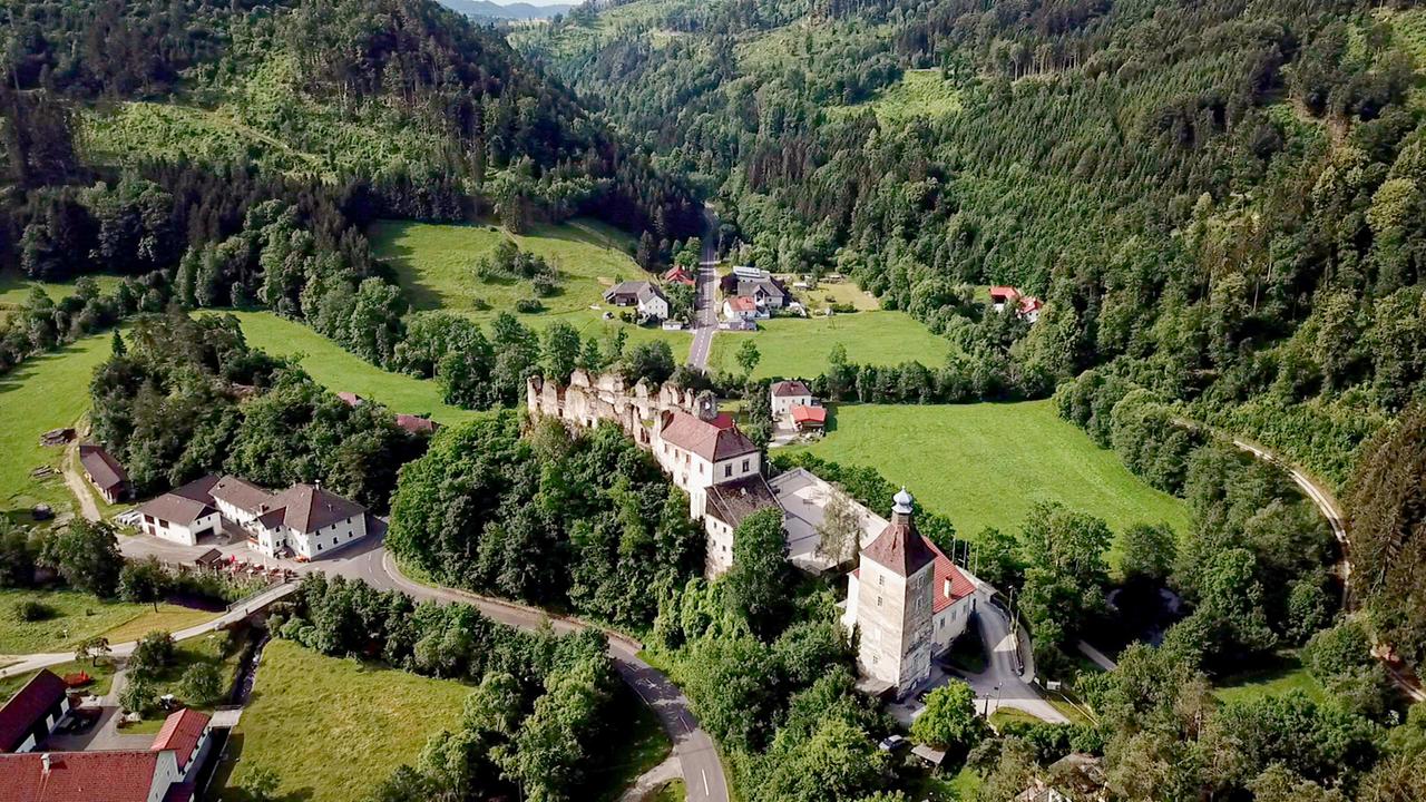 Burggebäude im Grünen von oben gesehen