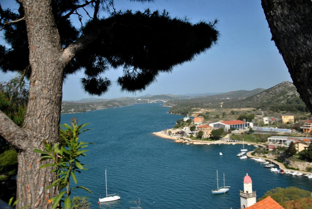Sibenik, Hafen - im Bildvordergrund Föhren