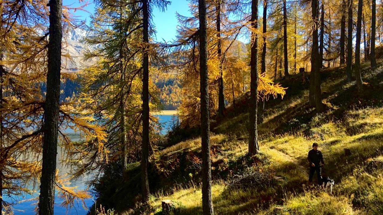 Standbild: Traumseen der Schweiz