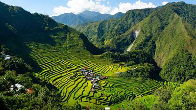 Grüne Berglandschaft mit Reisterrassen.