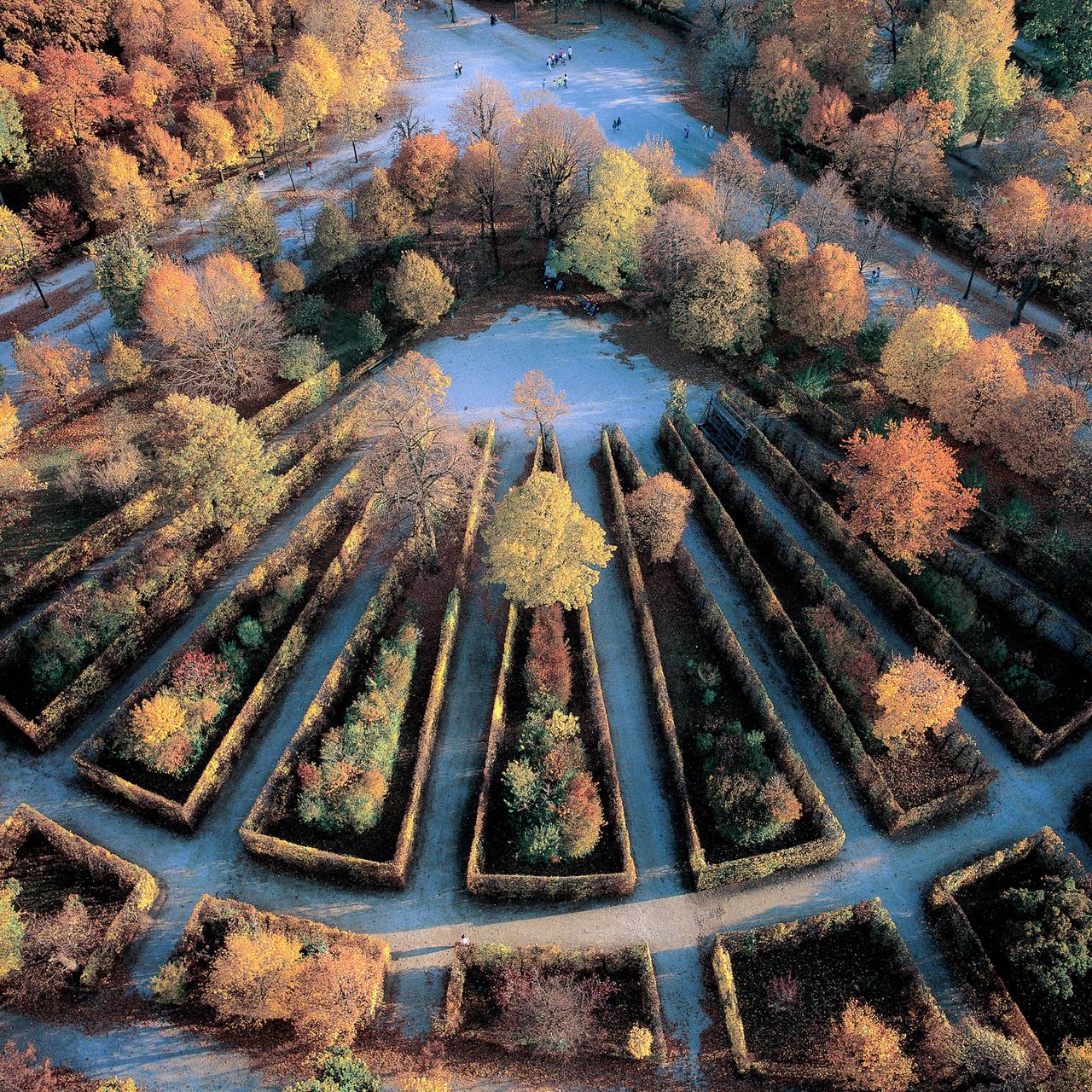 Luftblick auf eine herbstliche Parkanlage