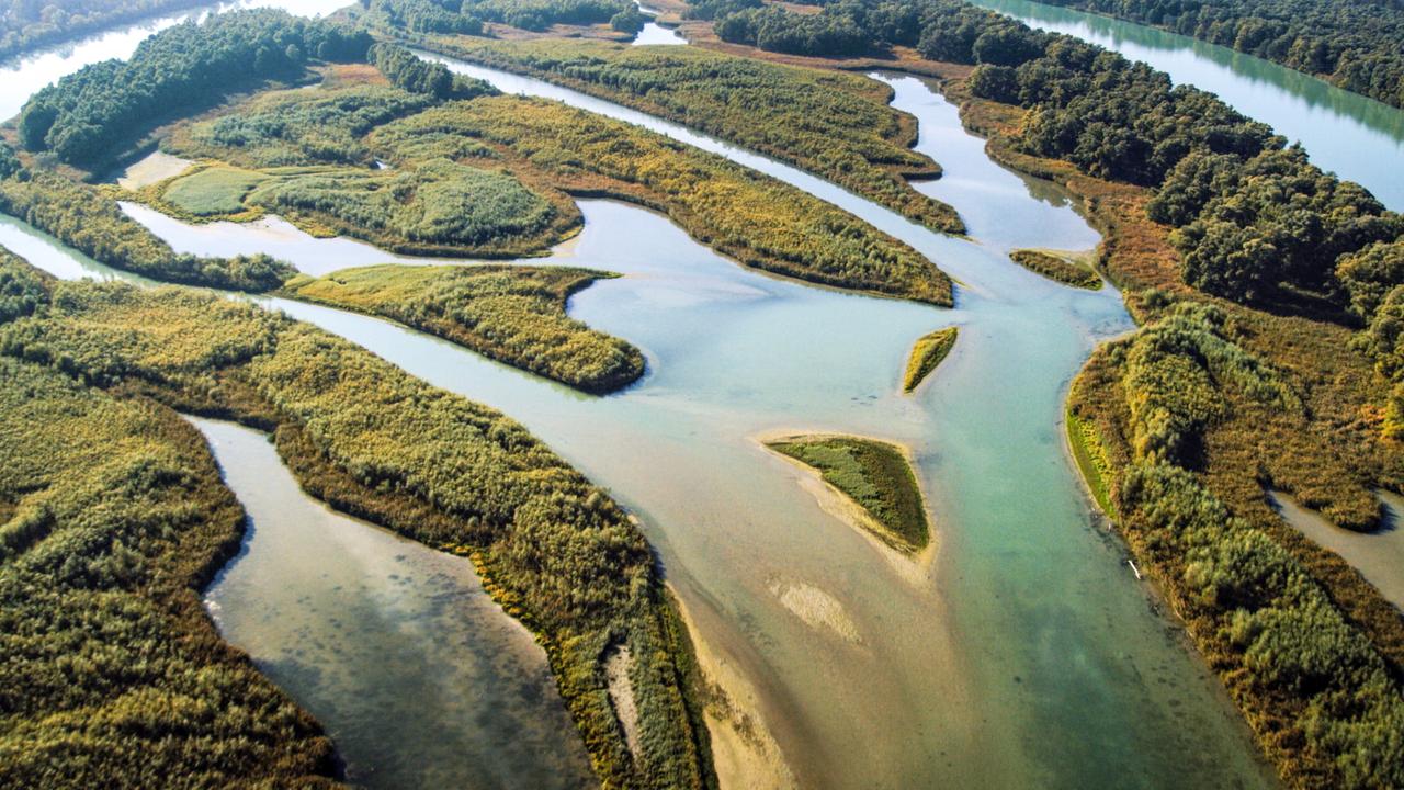 Inn Auen bei Braunau