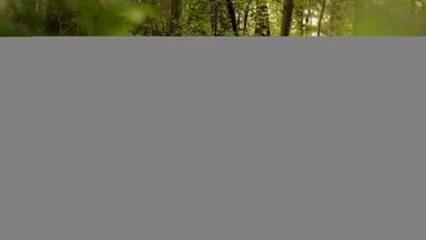 Teilweise hinter grünem Laub verdeckt, stehen Emely und Pauline im Wald. Sie tragen mehrere Äste in den Händen.