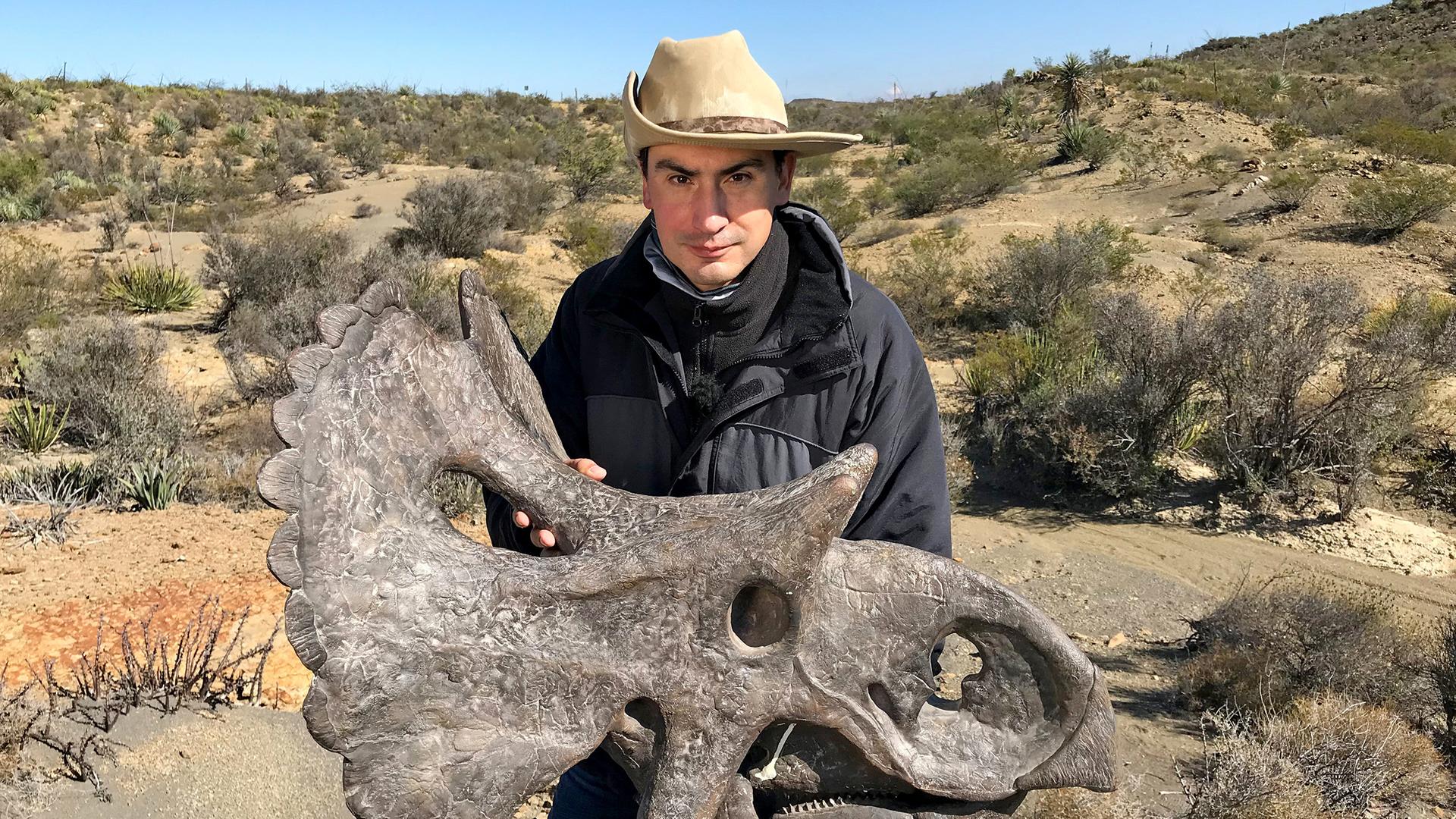 Der Paläontologe Héctor Rivera-Sylva mit dem Modell eines Dinosaurierschädels.