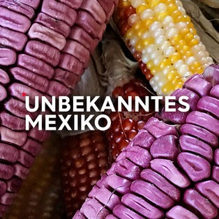 Unbekanntes Mexiko Sendetypical 2400x1350 16zu9