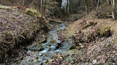 Ein Bach neben der Quellsanierung in Altusried/Neumühle.