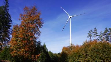 Ein Windrad steht in einer bewaldeten Landschaft.