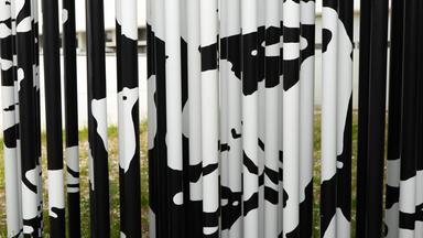 Das Bild zeigt eine Ansicht von vertikalen, gestreiften Stäben, die abwechselnd in Schwarz und Weiß gehalten sind. Auf den Stäben sind Muster zu sehen, die schemenhaft die Konturen eines Gesichts darstellen. Diese Muster wirken künstlerisch und abstrahierend. Im Hintergrund erkennt man einen leicht unscharfen, hellen Gebäudeteil, der mit Fenstern ausgestattet ist und eine grüne Wiese mit einigen Kräutern im Vordergrund, die den Boden um die Stäbe herum bedeckt. Das gesamte Bild vermittelt eine moderne und kreative Atmosphäre.