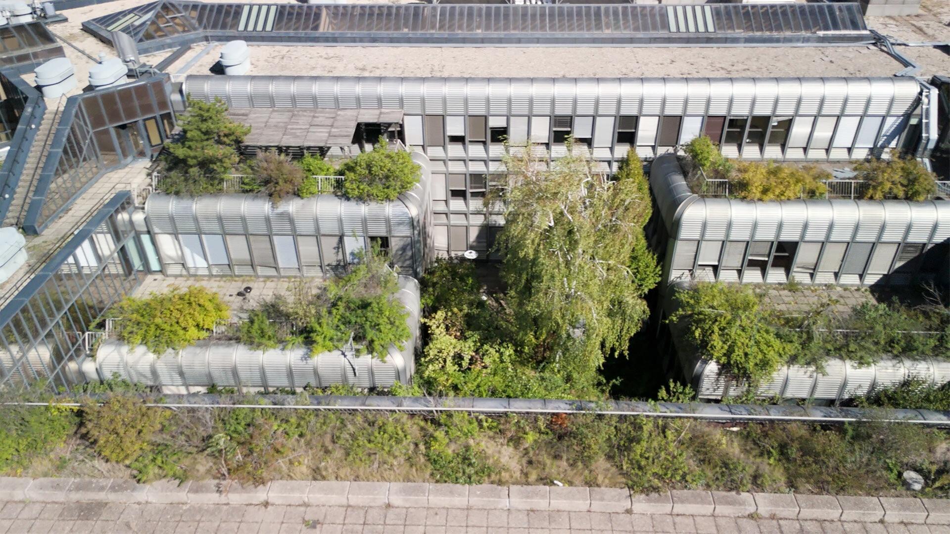 Das Bild zeigt einen verselbstständigten Dachgarten der ehemaligen Wirtschaftsuniversität in Wien. Aus der Vogelperspektive sind verschiedene Dachstrukturen sichtbar, die mit grünen Pflanzen und Bäumen bewachsen sind. Die Gebäudeoberflächen sind größtenteils mit Glas und metallischen Elementen gestaltet. Auf den Dächern wachsen verschiedene Arten von Pflanzen, darunter auch größere Bäume, die dem Raum ein grünes und lebendiges Aussehen verleihen. Der Boden des Dachgartens besteht aus Fliesen und unregelmäßig verteilten Vegetationsbereichen. Um den Garten herum sind begrünte Bereiche sichtbar, die eine Mischung aus Natur und urbanem Raum darstellen. Das Bild vermittelt einen Eindruck von einer ruhigen und inspirierenden Umgebung, die sich inmitten der städtischen Architektur befindet.