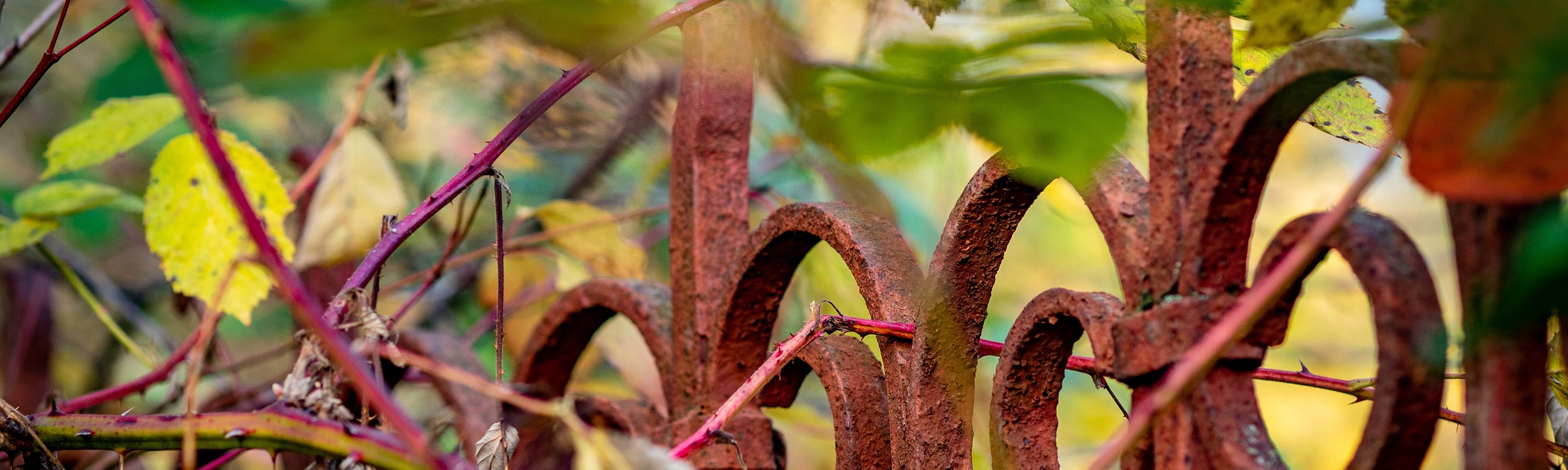 Hintergrund Sendebereich Verborgene Gärten von Wien