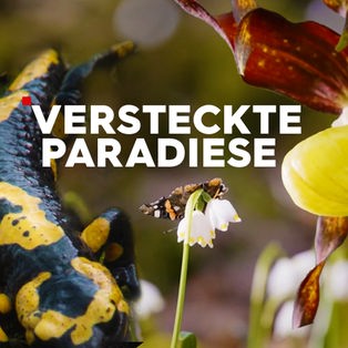 Versteckte Paradiese Sendetypical