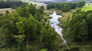 Luftansicht eines Moores.