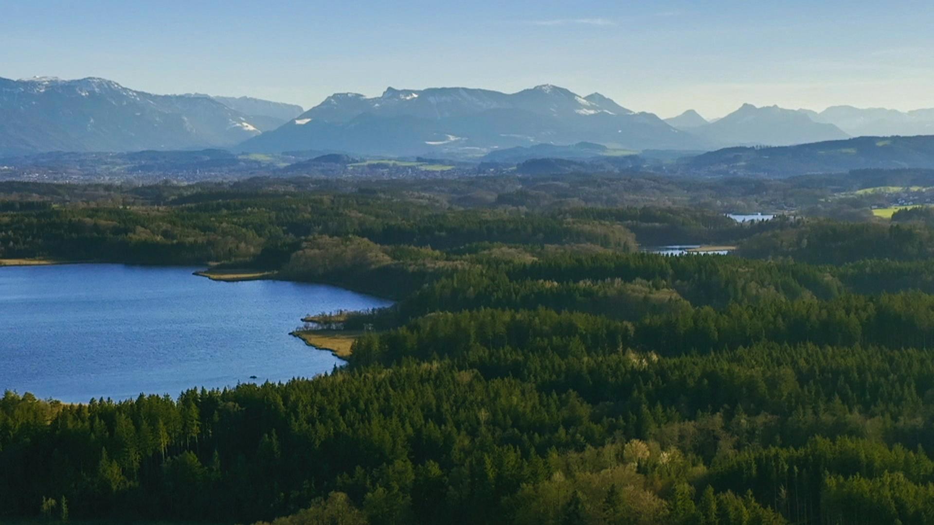 Luftansicht auf den Chiemsee und die Alpen