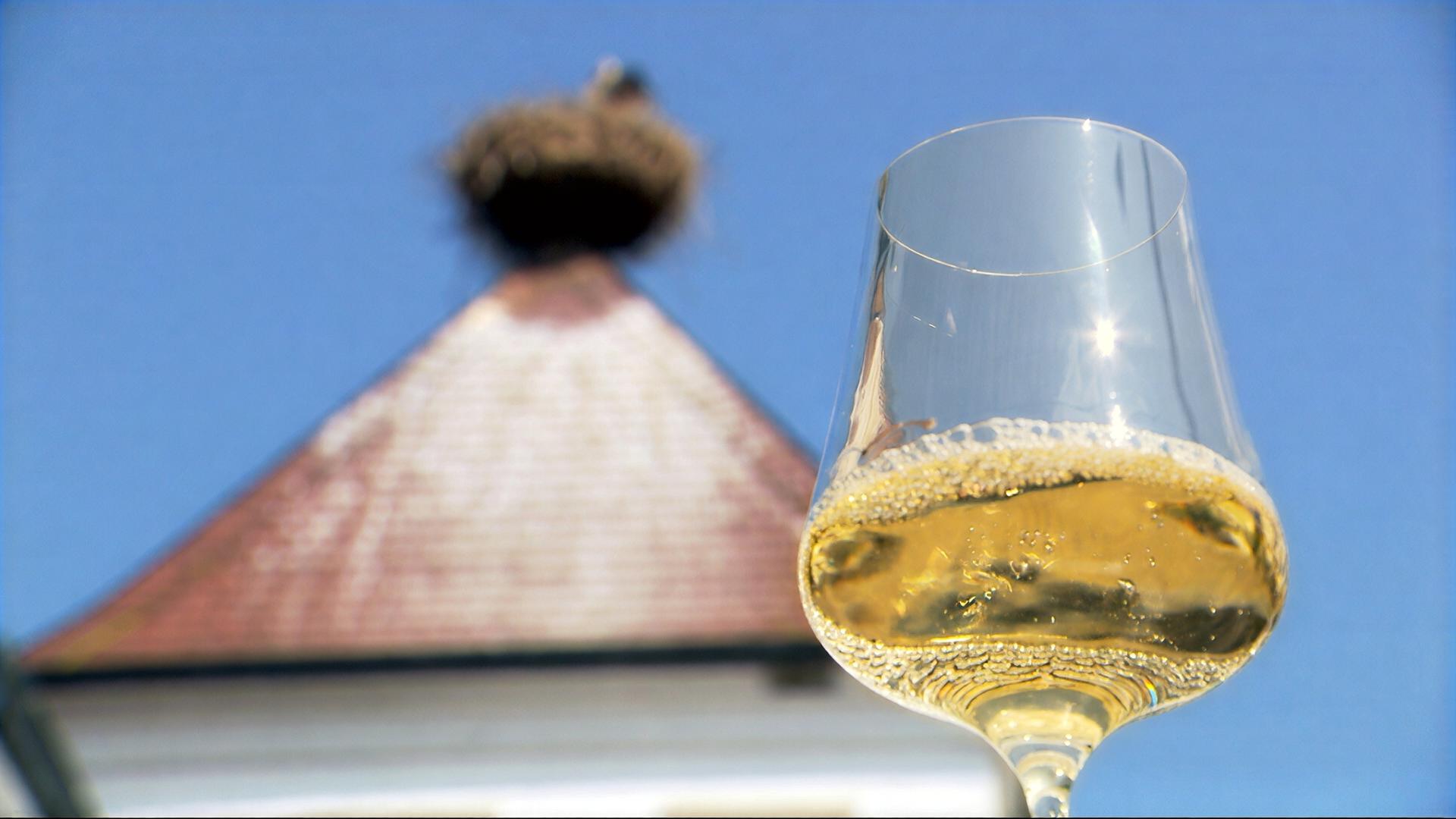 Das Bild zeigt ein Glas mit einem hellen, sprudelnden Weißwein, vermutlich Welschriesling. Im Hintergrund ist ein Gebäudedach mit roter Eindeckung zu sehen, auf dem sich ein Storchennest befindet. Darüber erstreckt sich ein klarer blauer Himmel ohne Wolken. Das Bild vermittelt eine fröhliche, sommerliche Atmosphäre und hebt die Verbindung zwischen Wein und der ländlichen Umgebung in Österreich hervor.