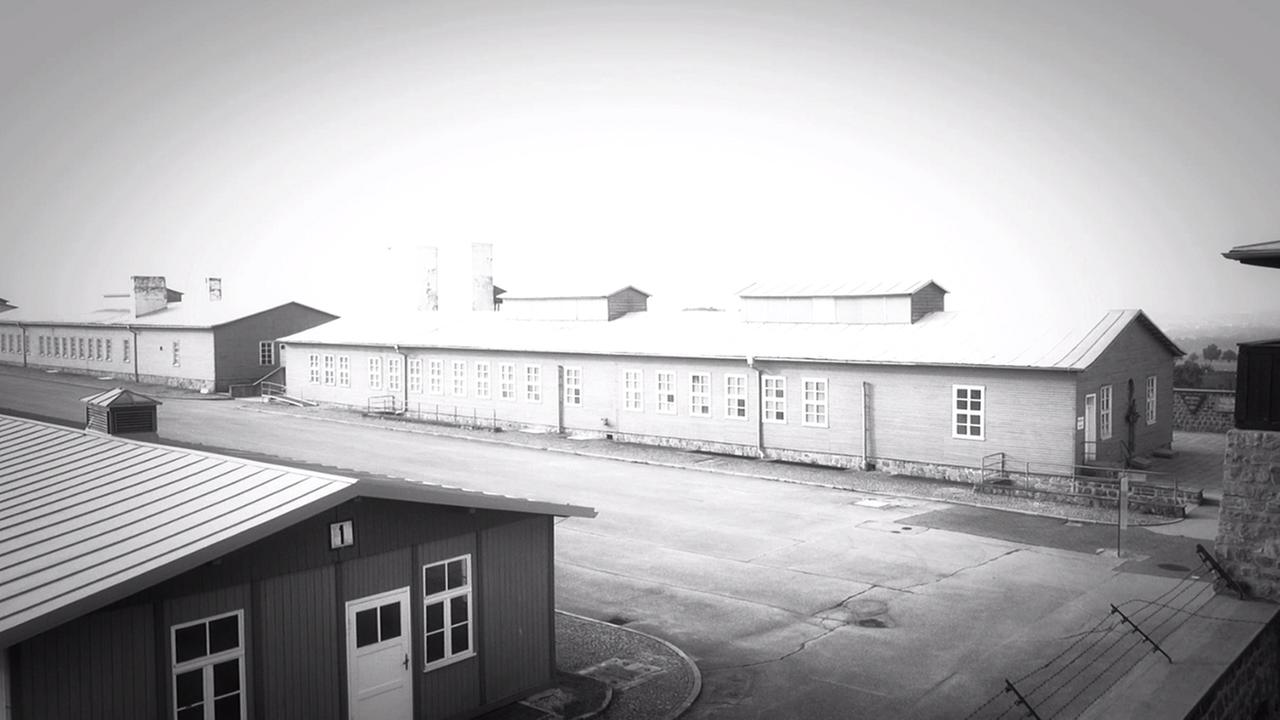 Standbild: Volkhard Knigge über den Holocaust