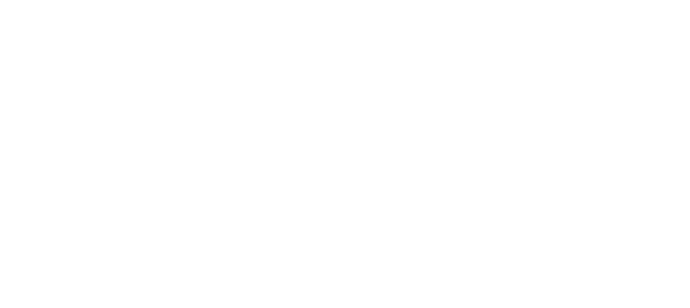 Vronis Lieblingsschmankerl Logo