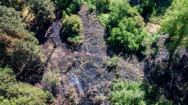 Waldbrand - Luftaufnahme mit einer Drohne