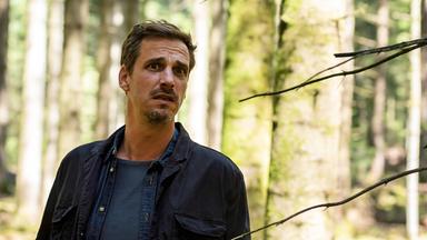 Ein Mann steht nachdenklich in einem lichten Wald, Sonnenstrahlen fallen durch die Baumstämme  er wirkt besorgt und angespannt.