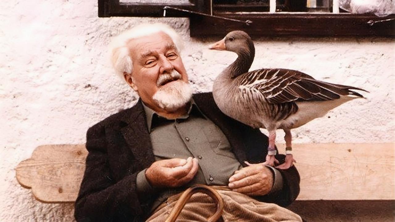 Konrad Lorenz sitzt mit einer Gans auf dem Arm auf einer Holzbank