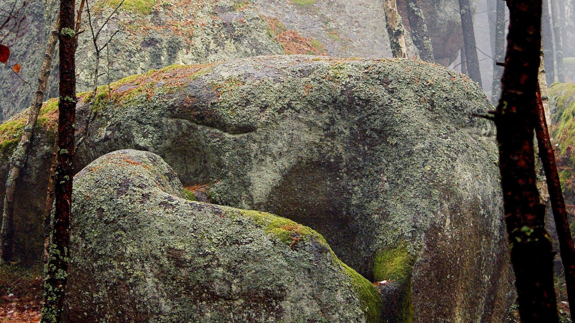 Steinformation - Riesiger Granitfelsen zwischen Laubbäumen im Herbst - Nebelschwaden