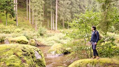 Schauspieler Stefano Bernardin steht auf einem mit Moos bedeckten Felsen neben einem Waldfluss.