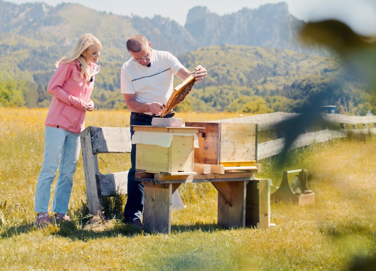 Ein Imker zeigt einer Frau eine mit Bienen besetzte Wabe vor einer malerischen Berglandschaft.