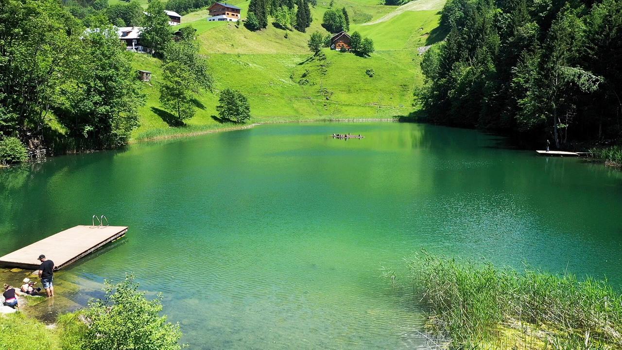 Ein türkisgrüner See zwischen Bäumen und Wiesen