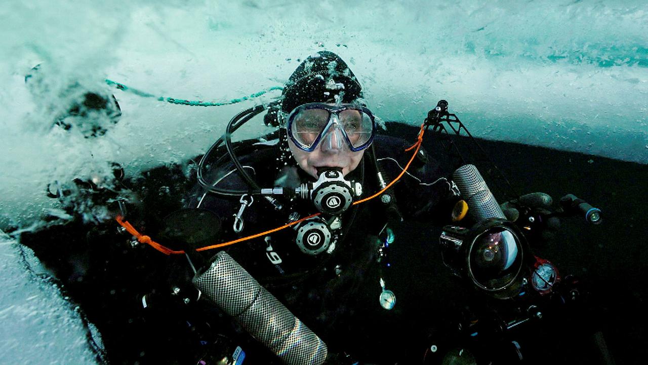 Wasserwelten 3sat Mediathek
