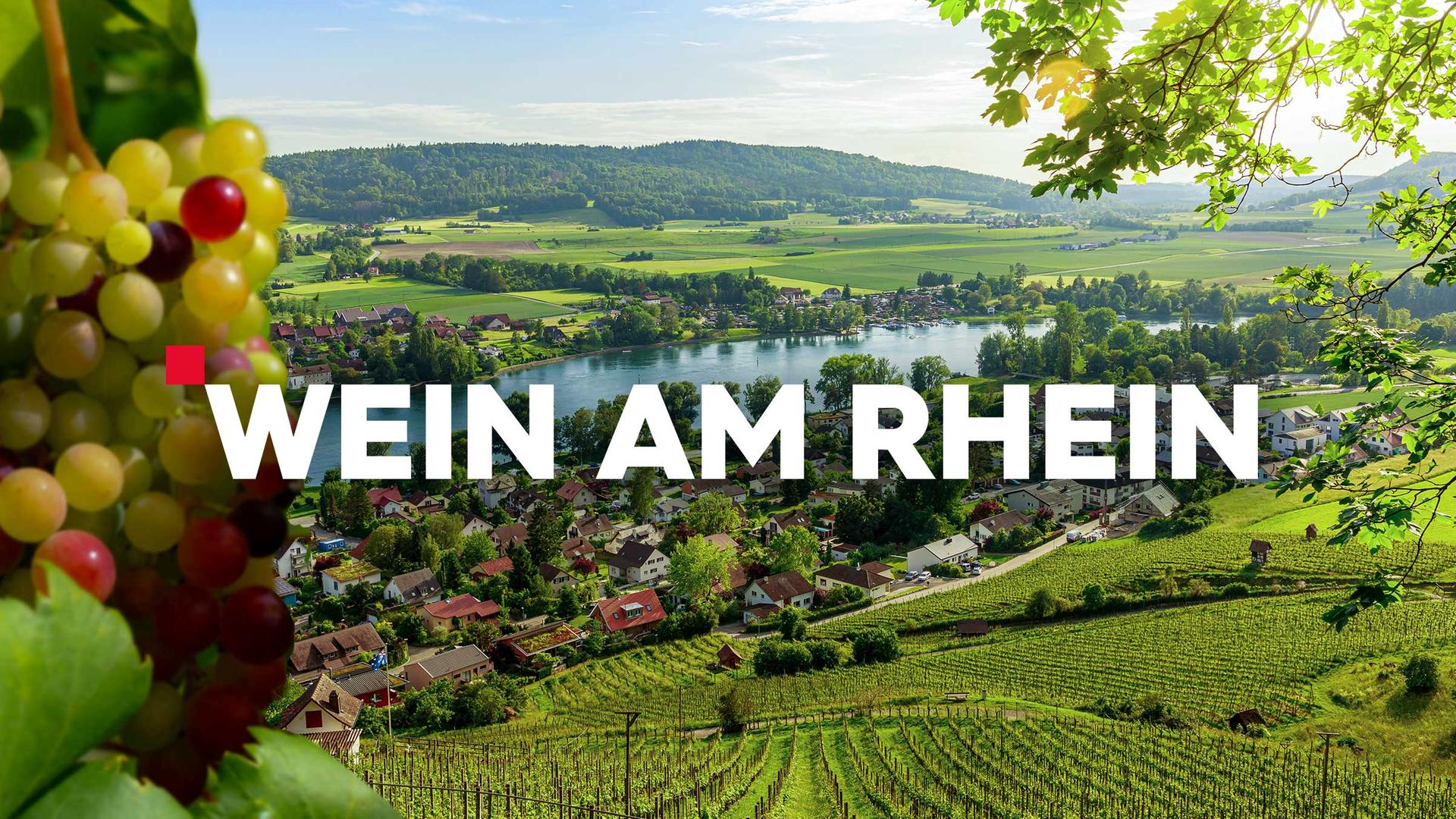 Sendelogo mit Hintergrund