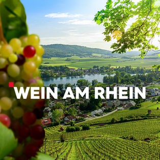 Sendelogo mit Hintergrund