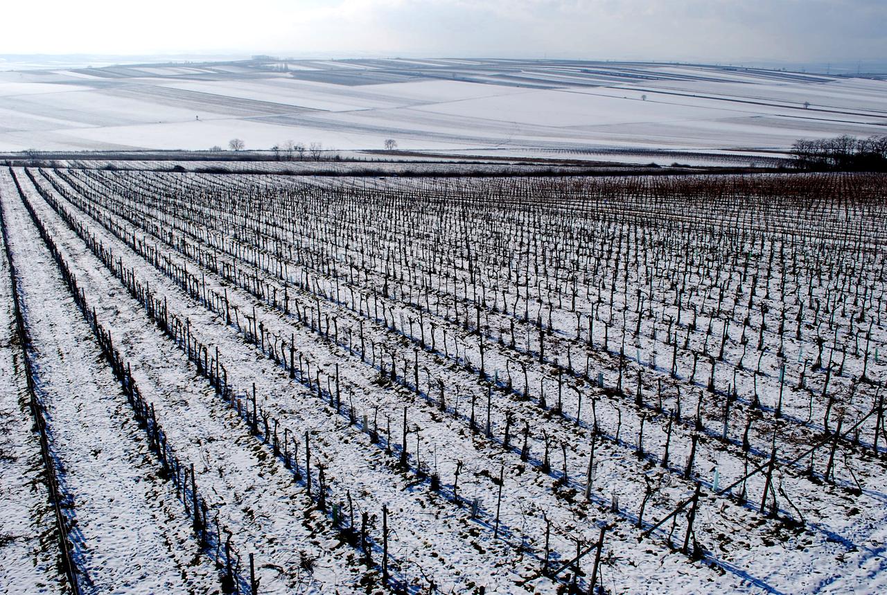 Landschaft von einer Anhöhe gesehen im rötlichen Abendlicht, leicht nebelig