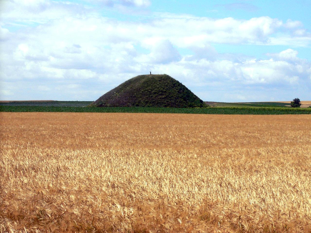 Eine Grabstätte in Form eines Hügels hinter einem Ährenfeld