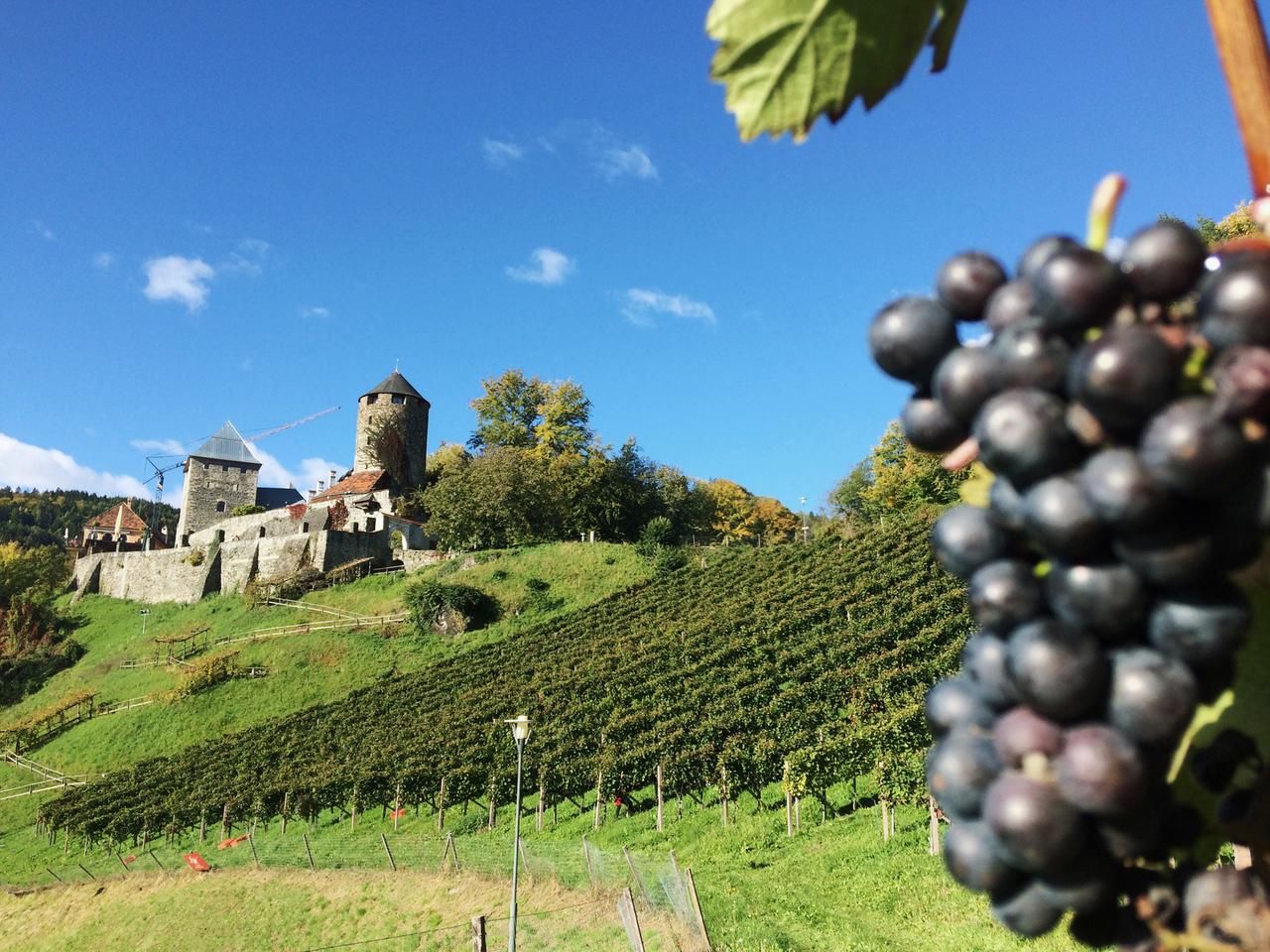 Burg Deutschlandsberg mit Weingarten