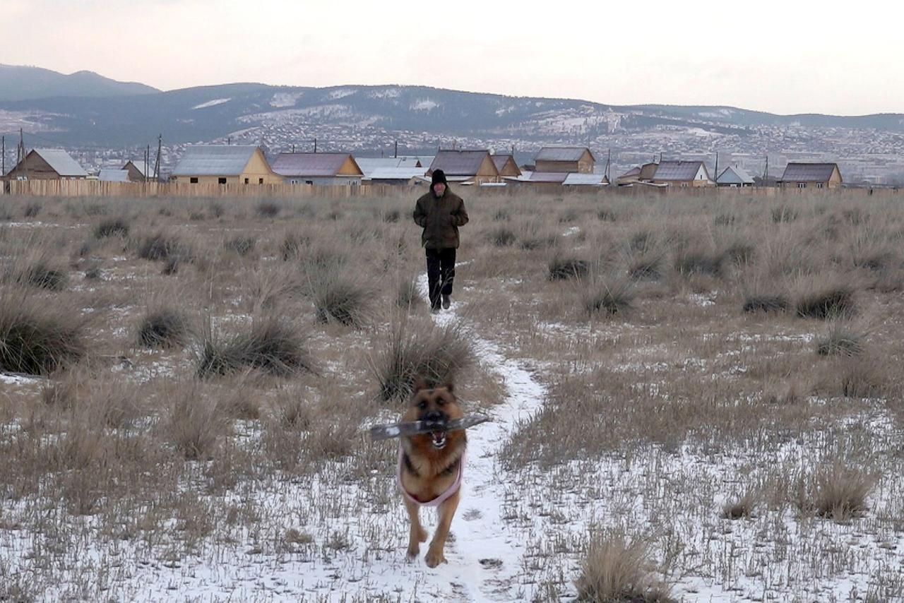 Ein Schweizer in Sibirien: Lukas Achermann mit Hündin Stella