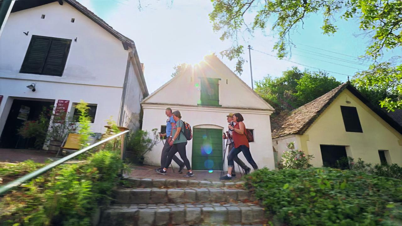 Das Bild zeigt eine Gruppe von vier Personen, die auf einer Gehweg-Stufenanlage spazieren. Im Hintergrund befinden sich mehrere alte, einladend wirkende Häuser mit hellen Wänden und dunklen Fenstern. Diese Häuser haben jeweils ein schräges Dach, das mit Ziegeln gedeckt ist. Die Fenster sind teils mit grünen Fensterläden versehen. Die Szenerie wird von hellem Sonnenlicht erhellt, was eine freundliche Atmosphäre schafft.

Die Personen in der Gruppe scheinen Outdoor-Ausrüstung zu tragen, einige von ihnen halten Wanderstöcke. Der Gehweg ist umgeben von einer Grünfläche mit Büschen und kleinen Pflanzen. Die gesamte Umgebung vermittelt den Eindruck eines lebhaften und naturnahen Wandergebiets in Niederösterreich.