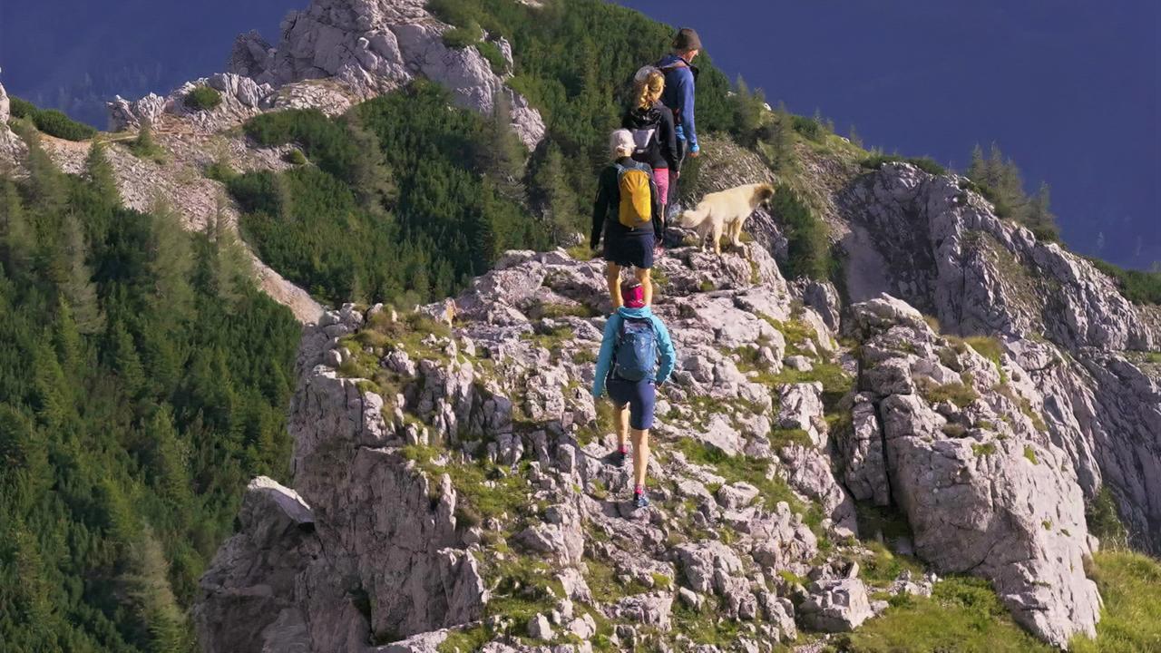 Das Bild zeigt eine Gruppe von vier Personen, die auf einem felsigen Wanderweg in den Alpen gehen. Die Gruppe besteht aus drei Erwachsenen und einem Kind. Sie bewegen sich auf einem schmalen Grat, umgeben von hohen, zerklüfteten Felsen und grünen Nadelbäumen. Im Vordergrund ist ein heller Hund zu sehen, der neben einem der Erwachsenen steht. Die Personen tragen funktionale Wanderkleidung und Rucksäcke. Das Wetter scheint sonnig zu sein, und im Hintergrund sind weitere Berge zu erkennen. 

Die Szene vermittelt ein Gefühl von Abenteuer und Freiheit in der Natur, passend zum Thema Wandern in der österreichischen Landschaft.