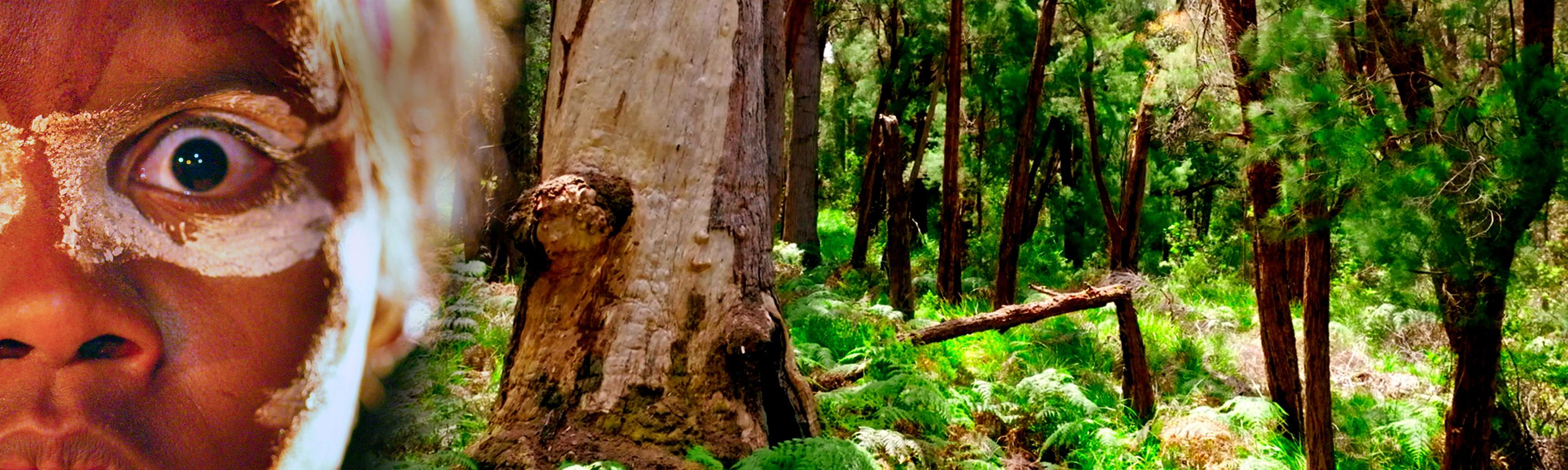 Westaustraliens Nationalparks – Hintergrund