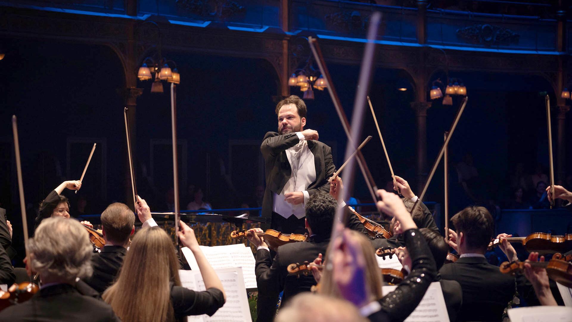 Das Bild zeigt ein Orchester während eines Konzerts in einem eleganten Saal. Im Vordergrund ist der Dirigent zu sehen, der lebhaft dirigiert. Er trägt einen schwarzen Anzug mit weißem Hemd und gehört zu den prominentesten Figuren auf der Bühne. Um ihn herum sind Orchestermusiker, die verschiedene Instrumente, hauptsächlich Geigen, spielen. Die Musiker sind in formeller Kleidung gekleidet und sitzen in einer halbkreisförmigen Anordnung. 

Der Hintergrund des Saales ist schwach beleuchtet, mit dekorativen Elementen, die einen historischen Eindruck vermitteln. Einige Zuschauer sind auf den Sitzplätzen im Hintergrund zu erkennen, wobei die gesamte Szene eine Atmosphäre von Eleganz und festlicher Stimmung ausstrahlt. Notenblätter der Musiker sind in der Vorderansicht sichtbar, und einige Musiker heben ihre Bögen, während sie spielen. Insgesamt vermittelt das Bild den Eindruck eines festlichen, musikalischen Ereignisses.