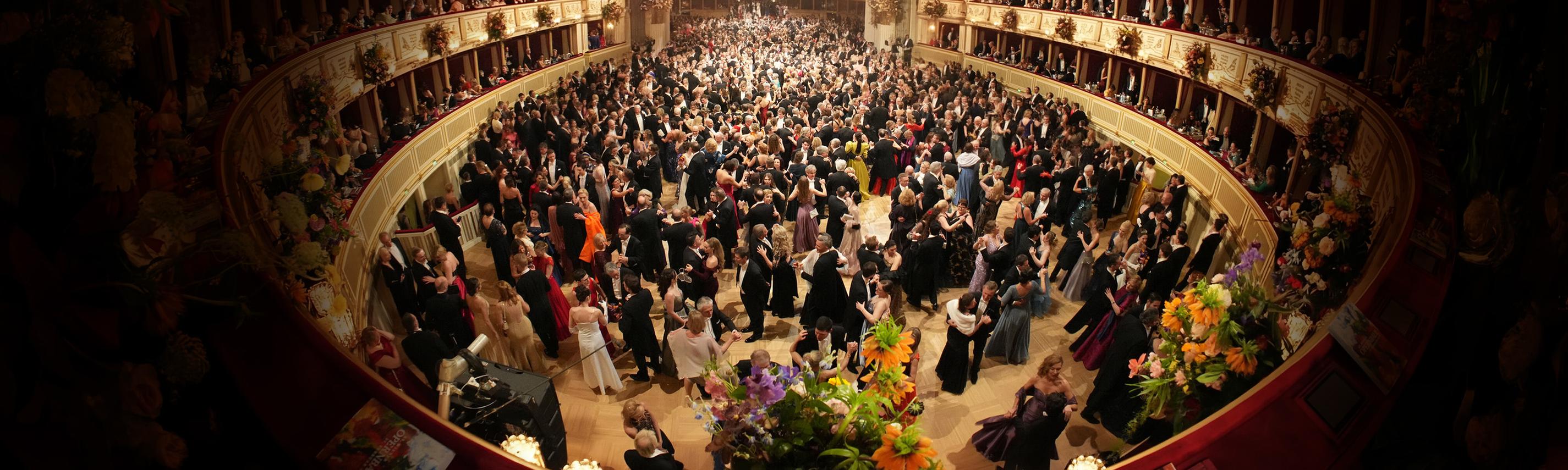 Wiener Opernball Sendebereich Hintergrund