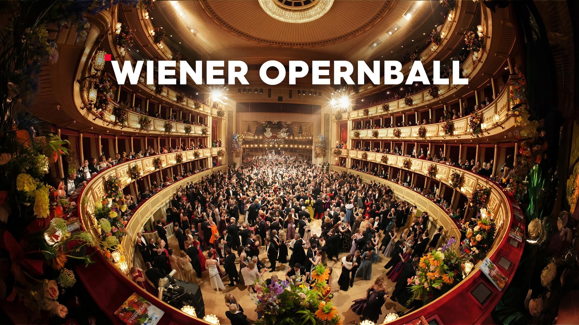 Wiener Opernball Sendetypical