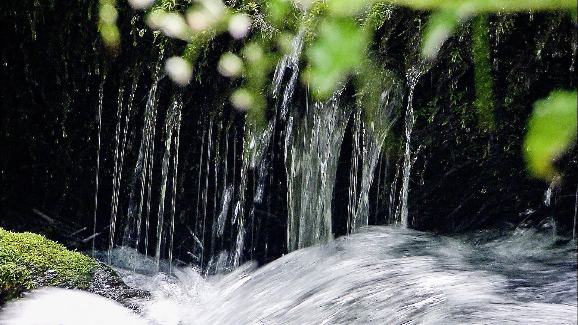 Ausschnitt aus einem kleinen Wasserfall