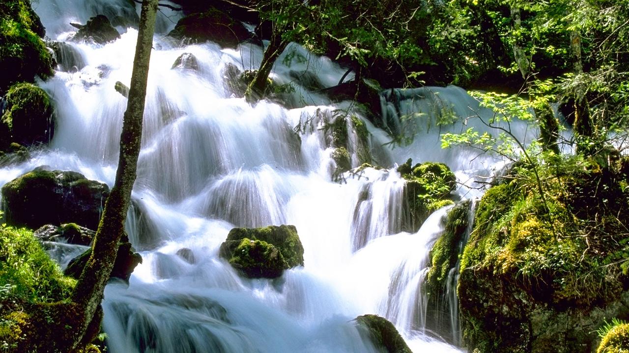 Quellwasser sprudelt über große Kieselsteine